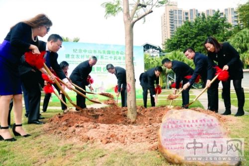 栽下凤凰木 情谊永延续.jpg